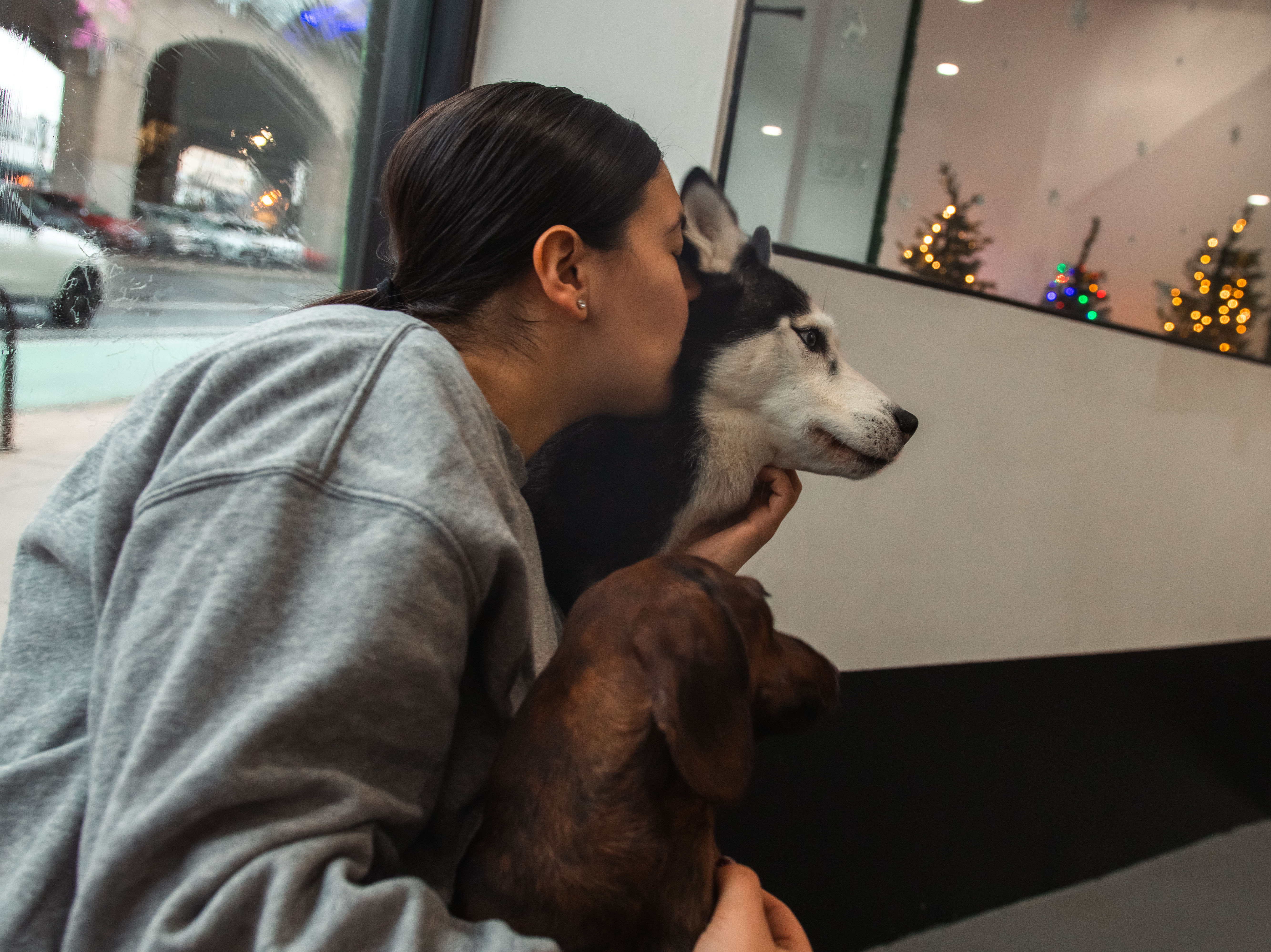 A young woman in a gray sweatshirt kisses a large husky-type dog sitting at a window with a view of a street and decorated...